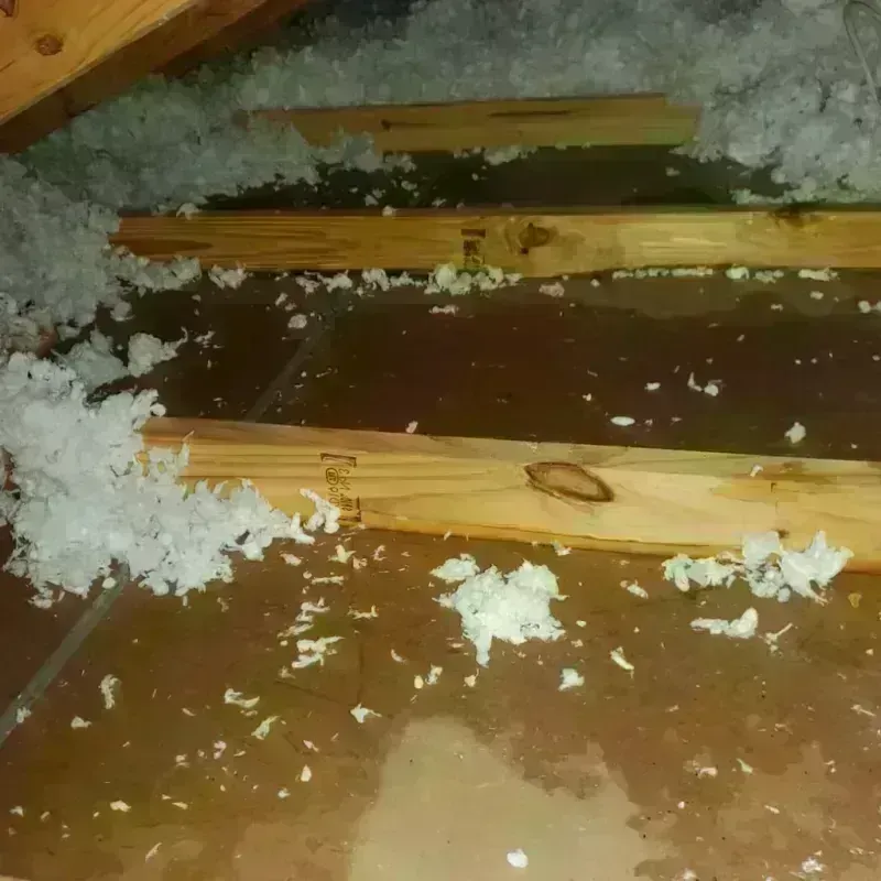 Attic Water Damage in Gold Hill, OR