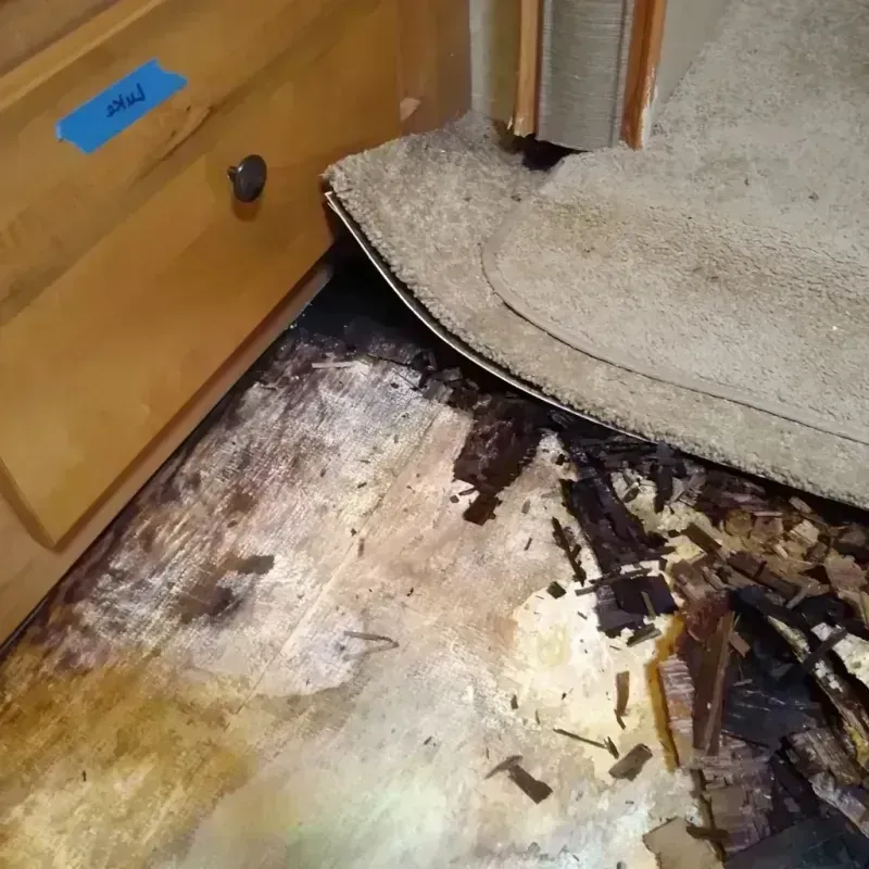 Wood Floor Water Damage in Gold Hill, OR